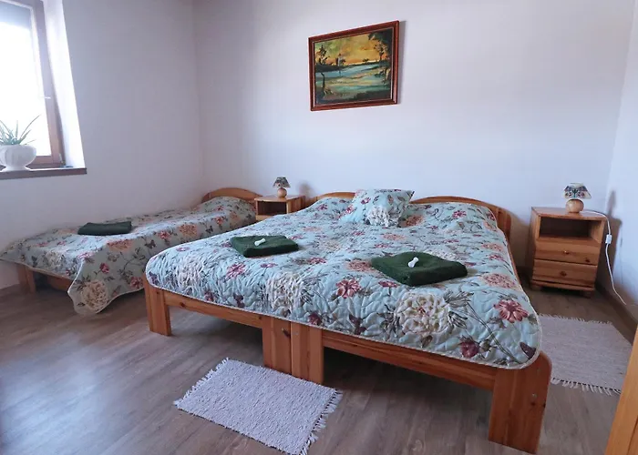 Fuezesi Papa Vendeghaza 3*